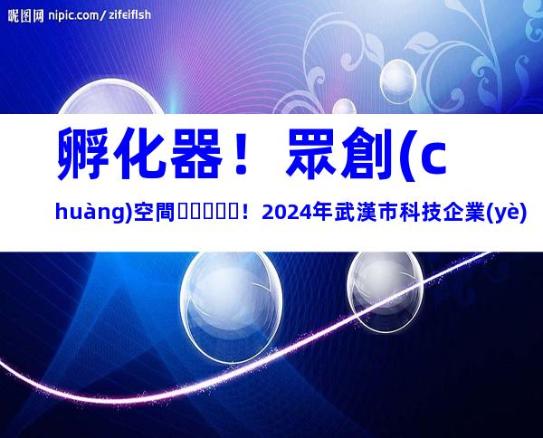 孵化器！眾創(chuàng)空間！2024年武漢市科技企業(yè)孵化器和眾創(chuàng)空間申報時間、對象合集
